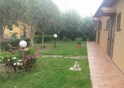 Agriturismo il Gelsomino