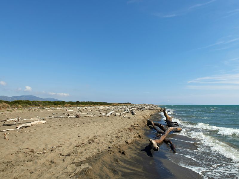 Spiaggia nella riserva della maremma