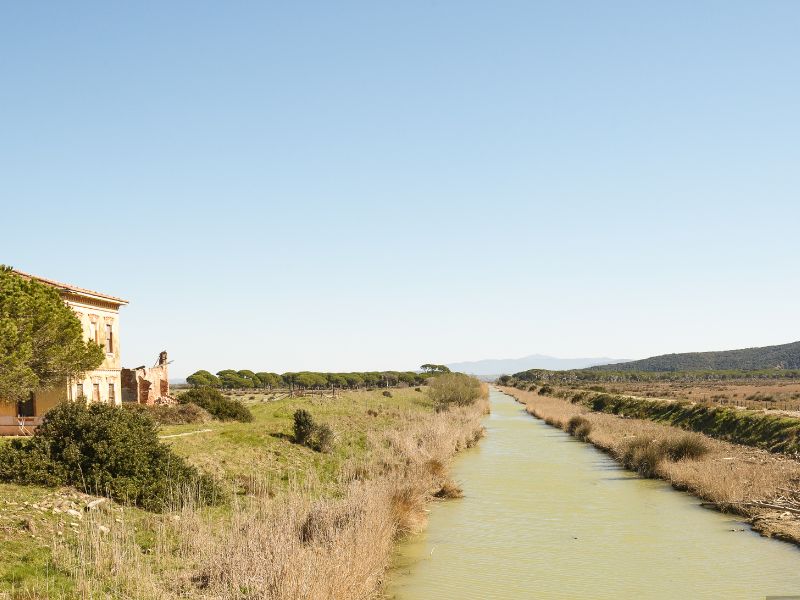 Passeggiate a cavallo in Maremma: l’esperienza e gli itinerari consigliati